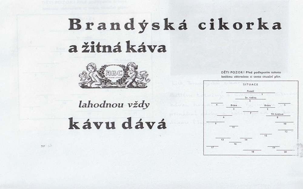 Brandsk cikorka-revers