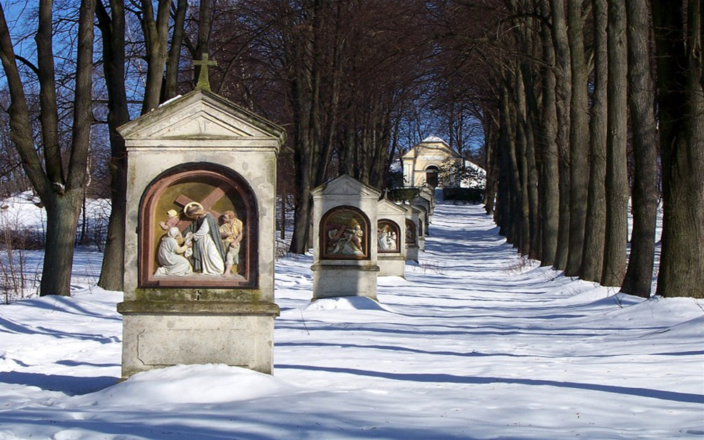 Kov cesta ve Cvikov