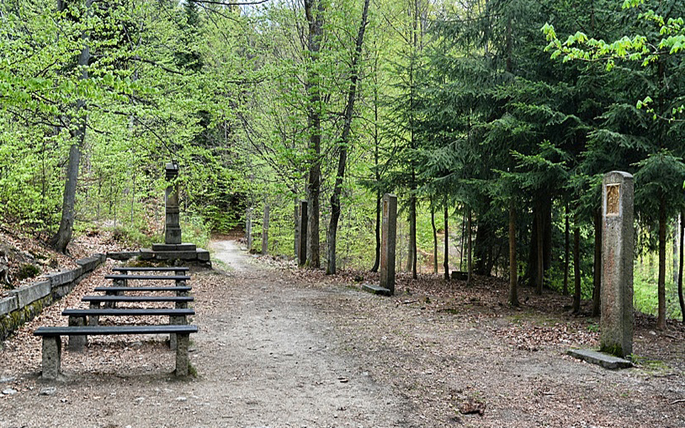 Kov cesta ve Cvikov